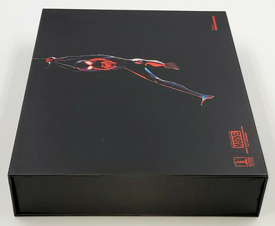 SPIDER-MAN INTO THE SPIDER-VERSE (EMPTY BOX) **NO STEELBOOKS / NO BLU-RAY DISCS** [BLUFANS]